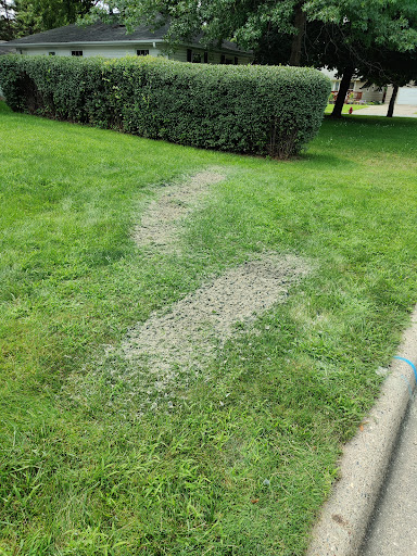 Photo from customer review