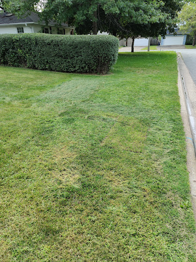 Photo from customer review